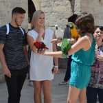 Sunny Saturday Linz Tourists Folklore 36