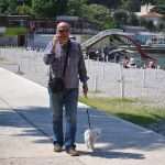 Sunny day in Uvala Lapad 15