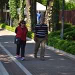 Sunny day in Uvala Lapad 39