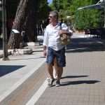 Sunny day in Uvala Lapad 5