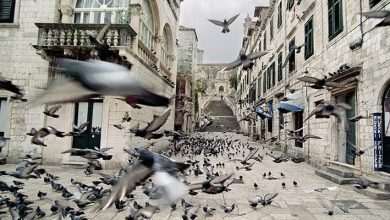 Exhibition War Photo Limited Presents War Stories Seen Through Professional Lenses 1 unnamed 2