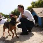 Famous Croatian-American Actor Visited Dubrovnik's Animal Shelter 20 Goran Visnjic Animal Shelter 1