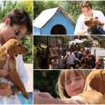 Famous Croatian-American Actor Visited Dubrovnik's Animal Shelter 10 Goran Visnjic Animal Shelter 11