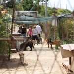 Famous Croatian-American Actor Visited Dubrovnik's Animal Shelter 9 Goran Visnjic Animal Shelter 12