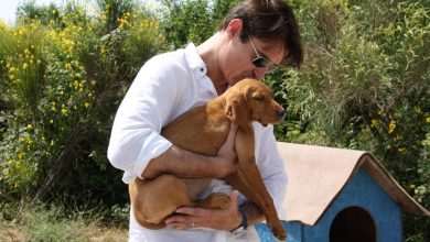 Famous Croatian-American Actor Visited Dubrovnik's Animal Shelter 4 Goran Visnjic Animal Shelter 3
