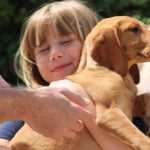 Famous Croatian-American Actor Visited Dubrovnik's Animal Shelter 15 Goran Visnjic Animal Shelter 6