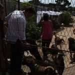 Famous Croatian-American Actor Visited Dubrovnik's Animal Shelter 12 Goran Visnjic Animal Shelter 9