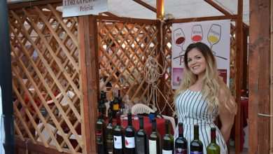 Interfest Plavac Mali Meeting 2