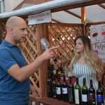 Wine Makers Discussed Trends, Economic Situation and Production on 'Interfest' 9 Interfest Plavac Mali Meeting 3