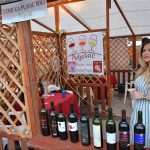 Wine Makers Discussed Trends, Economic Situation and Production on 'Interfest' 8 Interfest Plavac Mali Meeting 4