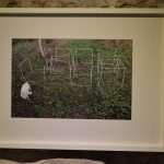 Exhibition 'photo graz selection': A Must See Project! 20 photo graz selection Exhibition 7