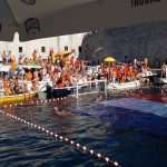 Divlja 2016 Finale u Portu 5