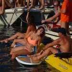 Divlja 2016 u Portu 1