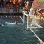 Divlja 2016 u Portu 10