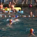 Divlja 2016 u Portu 12