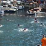 Divlja 2016 u Portu 13