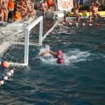 Divlja 2016 u Portu 16