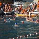 Divlja 2016 u Portu 17