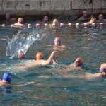 Divlja 2016 u Portu 19