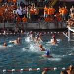 Divlja 2016 u Portu 2