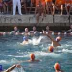 Divlja 2016 u Portu 4