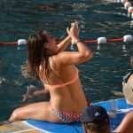 Divlja 2016 u Portu 6