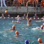 Divlja 2016 u Portu 7