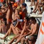 Divlja 2016 u Portu 9