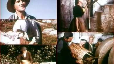 A Blast from the Past: Living in Konavle in 1954 10 Konavle Documentary Movie 1954
