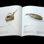 The New Edition of the Dubrovnik Museums: Bilingual Catalogue 'Ancient Cyprus' 3 Ancient Cyprus 3