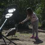 Photo Gallery: Lokrum was Children's Island Today 11 Games Day at Lokrum and Red Cross 33