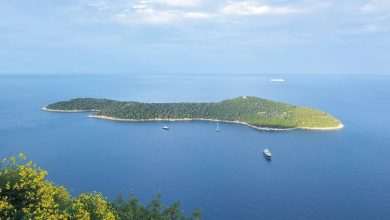 Art Colony This October on Lokrum Island 9 Lokrum Island 1