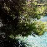Photo Gallery: Mljet - a Magical Getaway 22 Mljet Perfect Gateaway 4