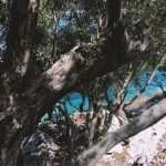 Photo Gallery: Mljet - a Magical Getaway 18 Mljet Perfect Gateaway 8
