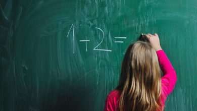 School Shutterstock Images LLC