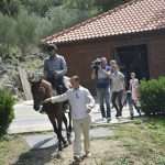Photo Gallery: A Very Special Gift Arrived in Konavle Today 16 Snow Queen Horse for Jug 14