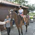 Photo Gallery: A Very Special Gift Arrived in Konavle Today 19 Snow Queen Horse for Jug 17