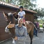 Photo Gallery: A Very Special Gift Arrived in Konavle Today 20 Snow Queen Horse for Jug 18