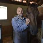 Photo Gallery: A Very Special Gift Arrived in Konavle Today 4 Snow Queen Horse for Jug 2