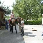Photo Gallery: A Very Special Gift Arrived in Konavle Today 22 Snow Queen Horse for Jug 20