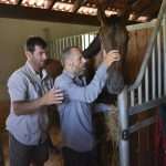 Photo Gallery: A Very Special Gift Arrived in Konavle Today 2 Snow Queen Horse for Jug 23
