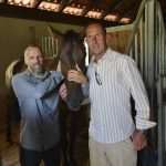 Photo Gallery: A Very Special Gift Arrived in Konavle Today 5 Snow Queen Horse for Jug 3