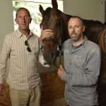 Photo Gallery: A Very Special Gift Arrived in Konavle Today 8 Snow Queen Horse for Jug 6