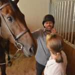 Photo Gallery: A Very Special Gift Arrived in Konavle Today 9 Snow Queen Horse for Jug 7
