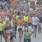 Photo Gallery from the Marathon: Run & Fun in Ston! 38 Ston Wall Marathon 2016 6