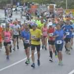 Photo Gallery from the Marathon: Run & Fun in Ston! 36 Ston Wall Marathon 2016 8