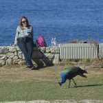 Photo Gallery: Lokrum, the Last Oasis of Summer 44 Lokrum 12