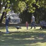 Photo Gallery: Lokrum, the Last Oasis of Summer 39 Lokrum 18