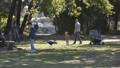 Enjoy the Spring Time on Lokrum Island 28 Lokrum 18