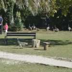 Photo Gallery: Lokrum, the Last Oasis of Summer 38 Lokrum 19